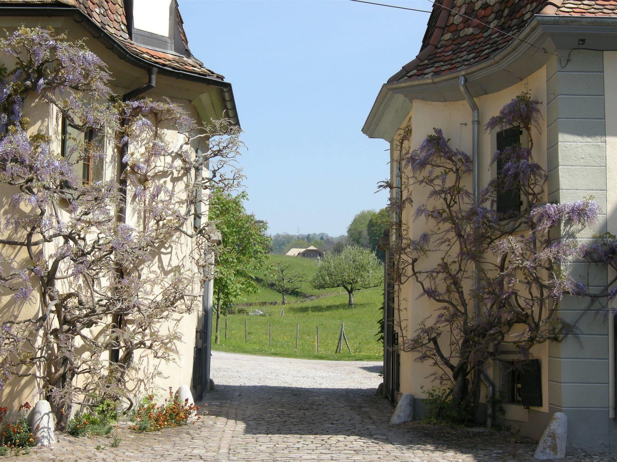 De La Vieille Tour